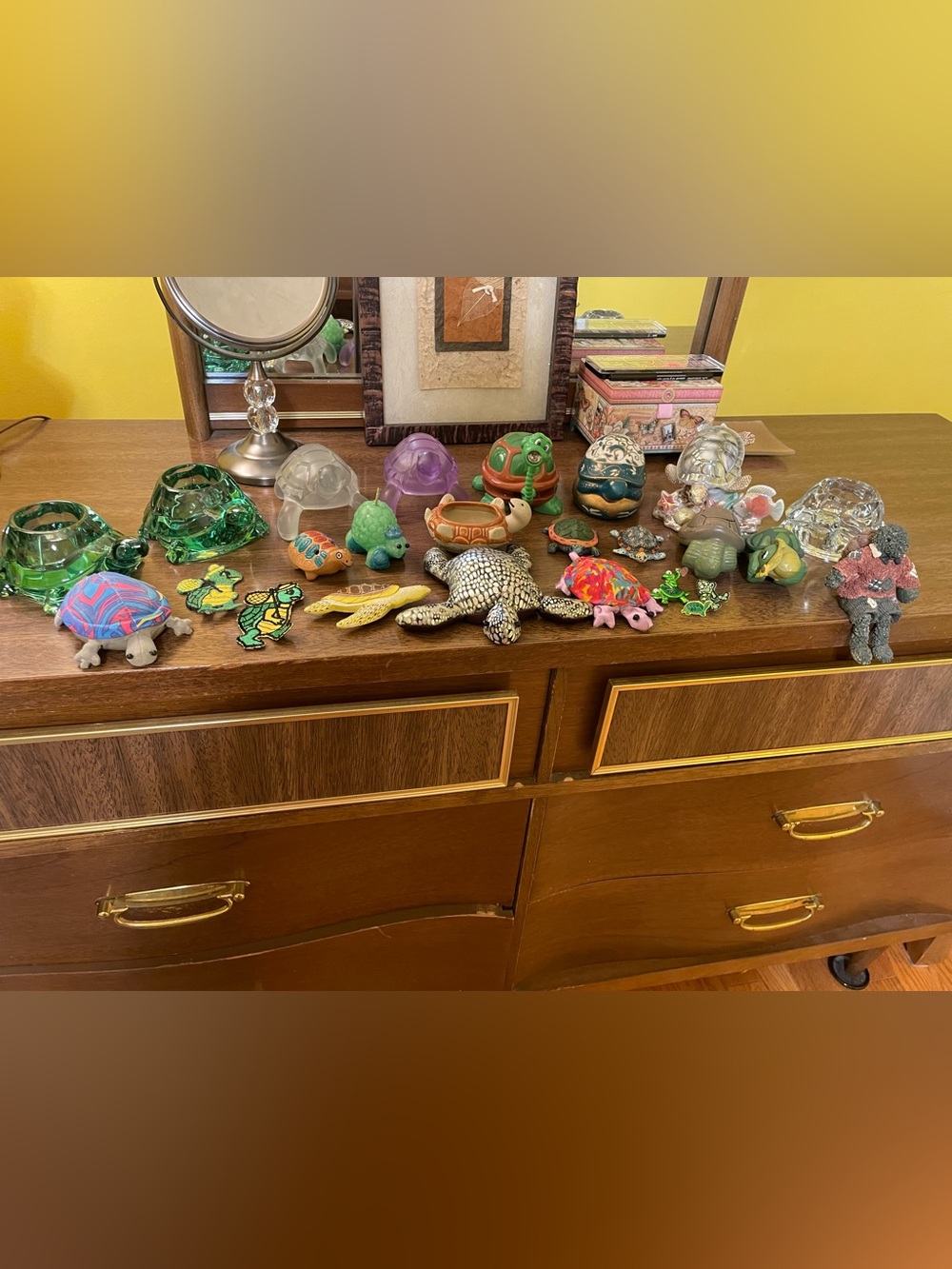 TURTLE COLLECTION